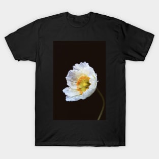 Papaver Nudicaule T-Shirt